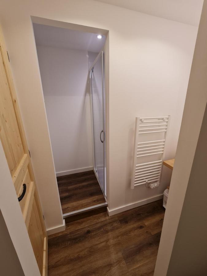 La Maizon Du Bois - Le Haut Appartement De 130 M2 - Le Bas Appartement De 70 M2 拉普拉涅 外观 照片